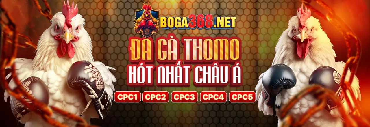 Bảo mật tối ưu và cá cược có trách nhiệm
