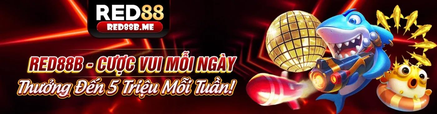Giao diện cá cược thể thao bet11 với các môn thể thao đa dạng và tỷ lệ cược hấp dẫn
