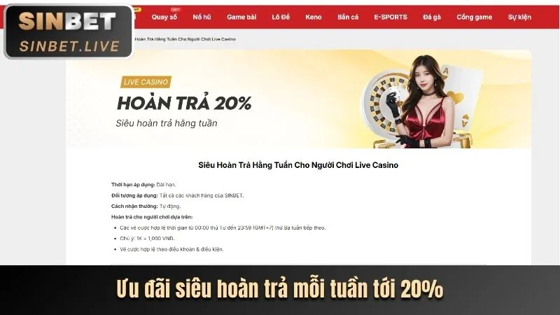 Ưu đãi độc quyền cho thành viên VIP bet11